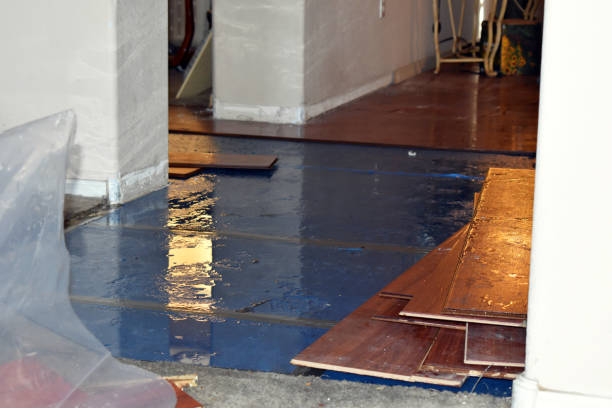 Professional Basement Flood Cleanup technician working in Pine City, MN